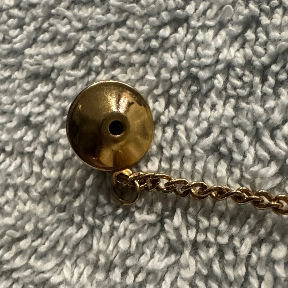 VTG Shriners Masonic Tie Tack Lapel Pin Gemstone Collectable FreeMason Jewelry